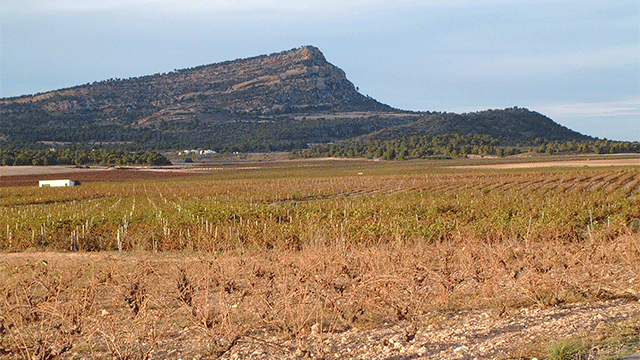 Monte Arabí