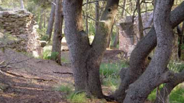Rambla de Tobarrillas