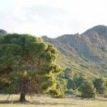 Turismo Sostenible: Cómo disfrutar de la naturaleza respetando  el entorno en Yecla