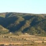 Rutas de Senderismo para disfrutar de la Primavera