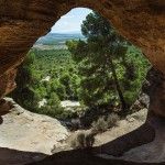 Visitas Guiadas en Yecla 2026: Programa Completo de Febrero a Junio Visitas Guiadas en Yecla 2026: Programa Completo de Febrero a Junio