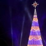 Disfruta de la magia de la Navidad en Yecla