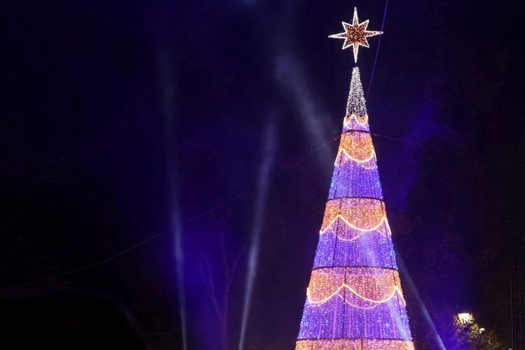 Disfruta de la magia de la Navidad en Yecla